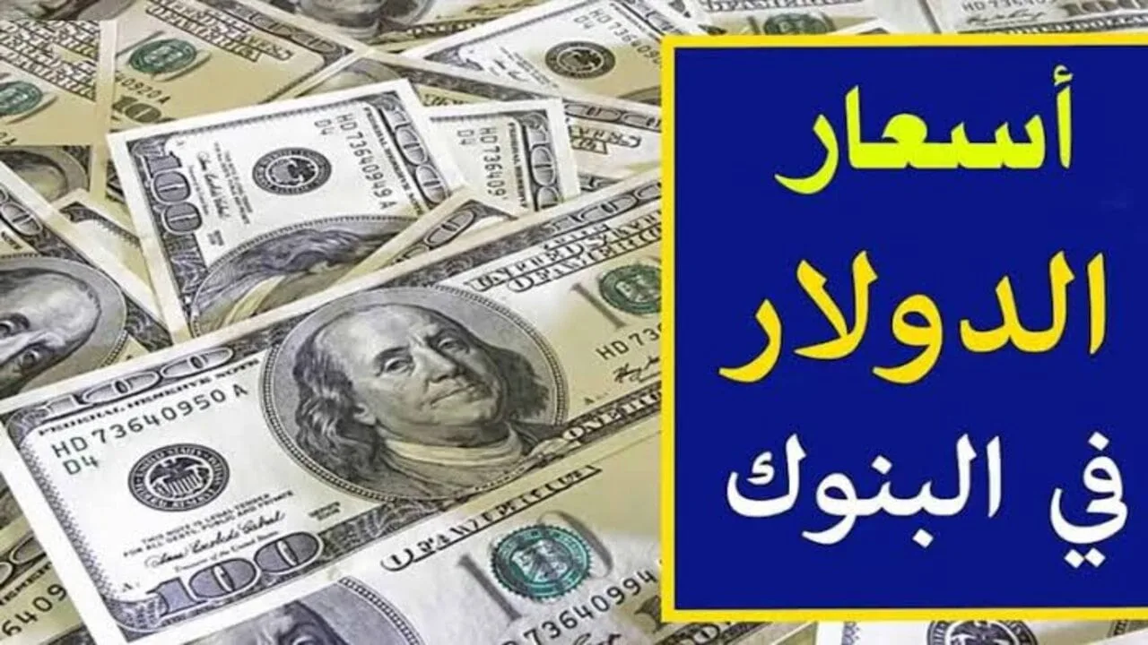 ارتفاع أم انخفاض.. سعر الدولار اليوم مقابل الجنيه المصري في البنوك السبت 12 أكتوبر.. الأخضر مش ثابت