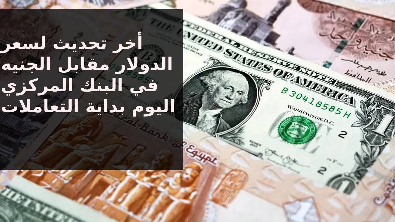 أخر تحديث للعملة الخضراء في مصر… تراجع سعر الدولار الأمريكي أمام الجنيه اليوم 3-10-2024 في البنوك المصرية