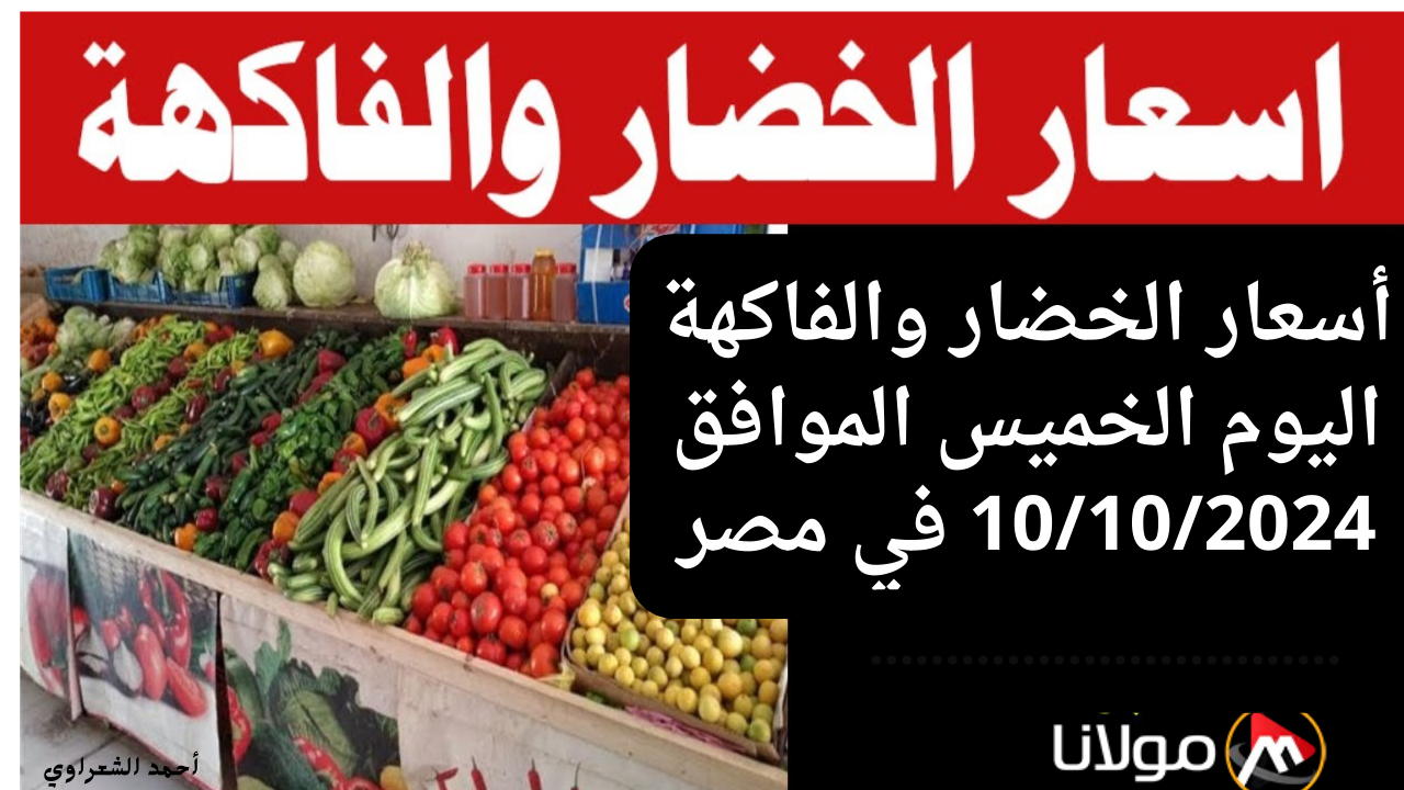 “ارتفاع مفاجئ”.. أسعار الخضار والفاكهة اليوم الخميس 10/10/2024 في مصر سعر