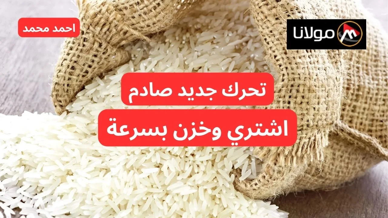 “تحرك جديد يصدم الجميع”.. تحرك سعر طن الأرز الشعير اليوم الأحد 13-10-2024 تخالف توقعات الكل