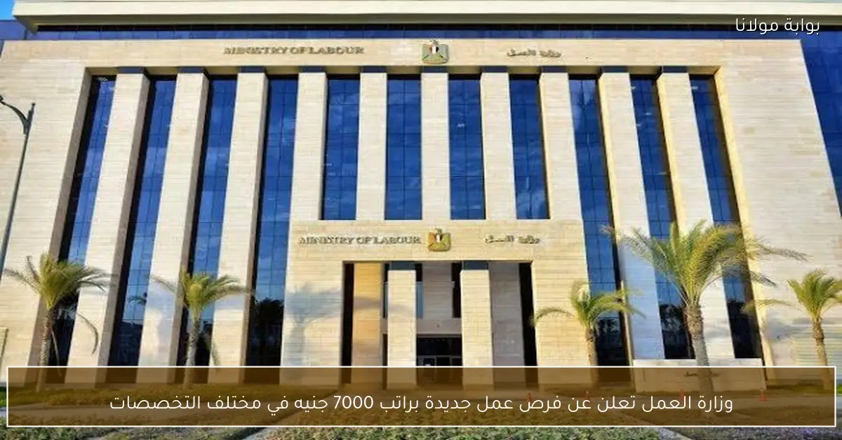 وزارة العمل تعلن عن فرص عمل جديدة براتب 7000 جنيه في مختلف التخصصات
