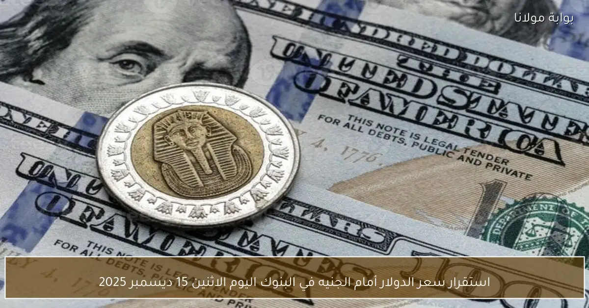 استقرار سعر الدولار أمام الجنيه في البنوك اليوم الاثنين 15 ديسمبر 2025