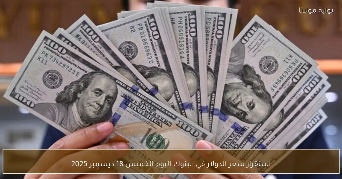 استقرار سعر الدولار في البنوك اليوم الخميس 18 ديسمبر 2025
