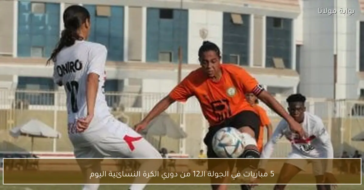 5 مباريات في الجولة الـ12 من دوري الكرة النسائية اليوم