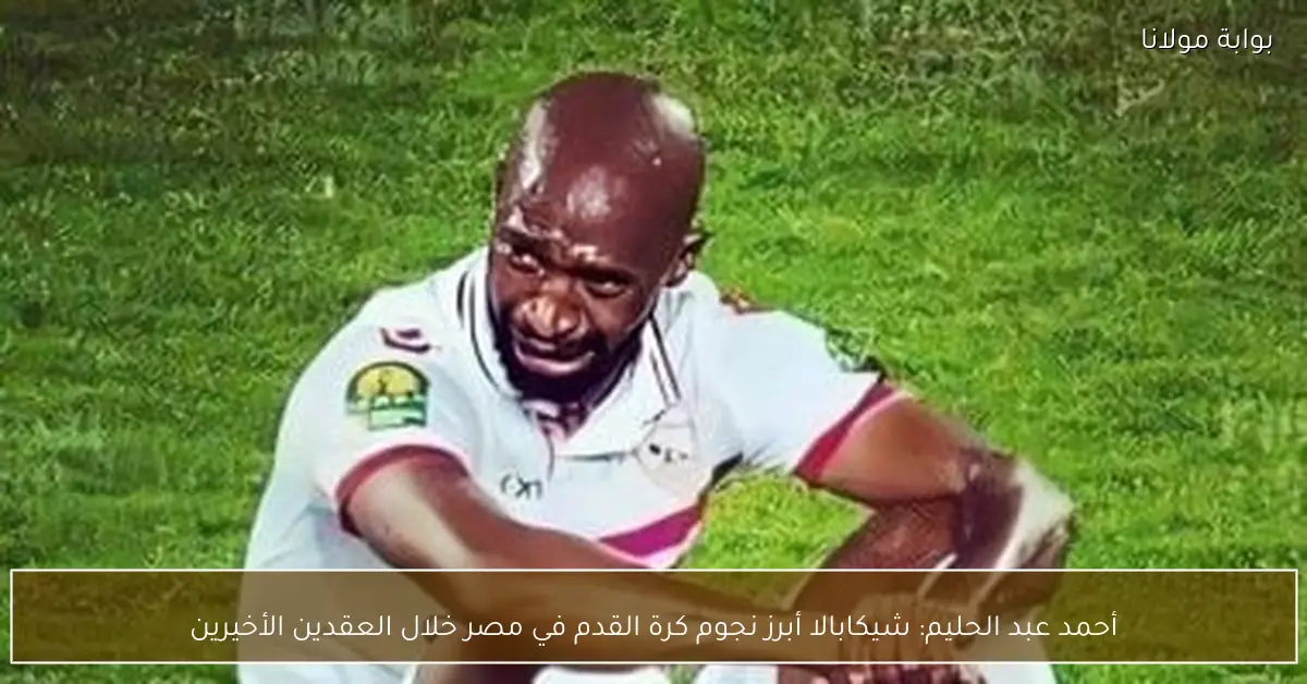أحمد عبد الحليم: شيكابالا أبرز نجوم كرة القدم في مصر خلال العقدين الأخيرين