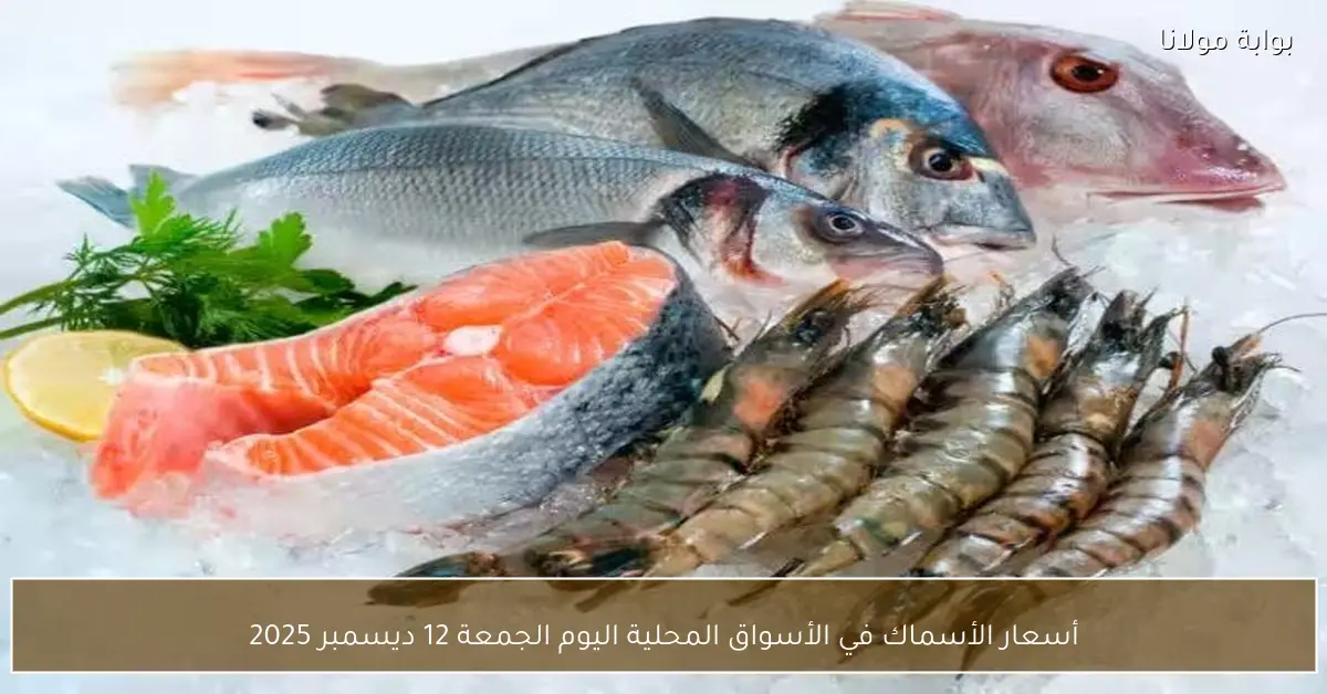 أسعار الأسماك في الأسواق المحلية اليوم الجمعة 12 ديسمبر 2025