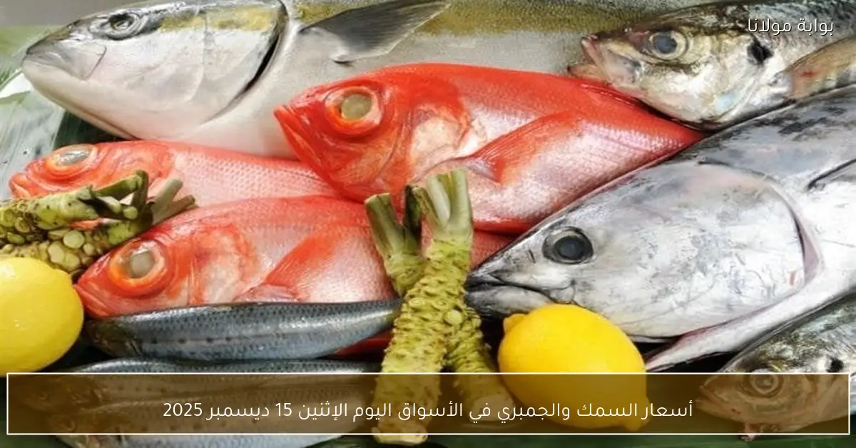 أسعار السمك والجمبري في الأسواق اليوم الإثنين 15 ديسمبر 2025