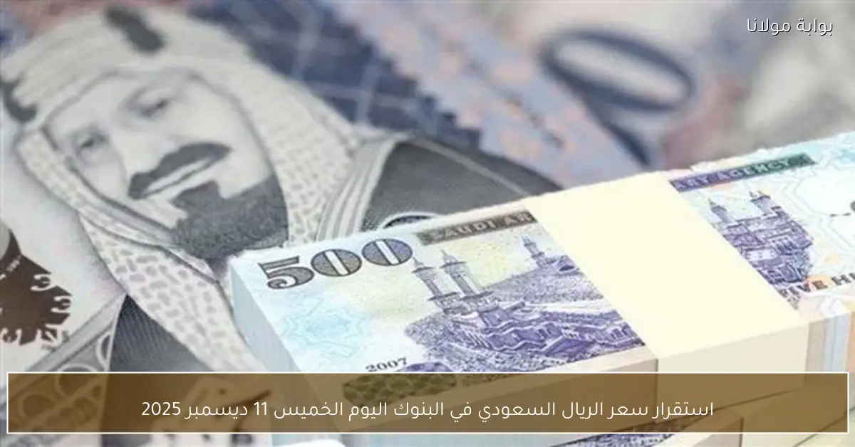 استقرار سعر الريال السعودي في البنوك اليوم الخميس 11 ديسمبر 2025