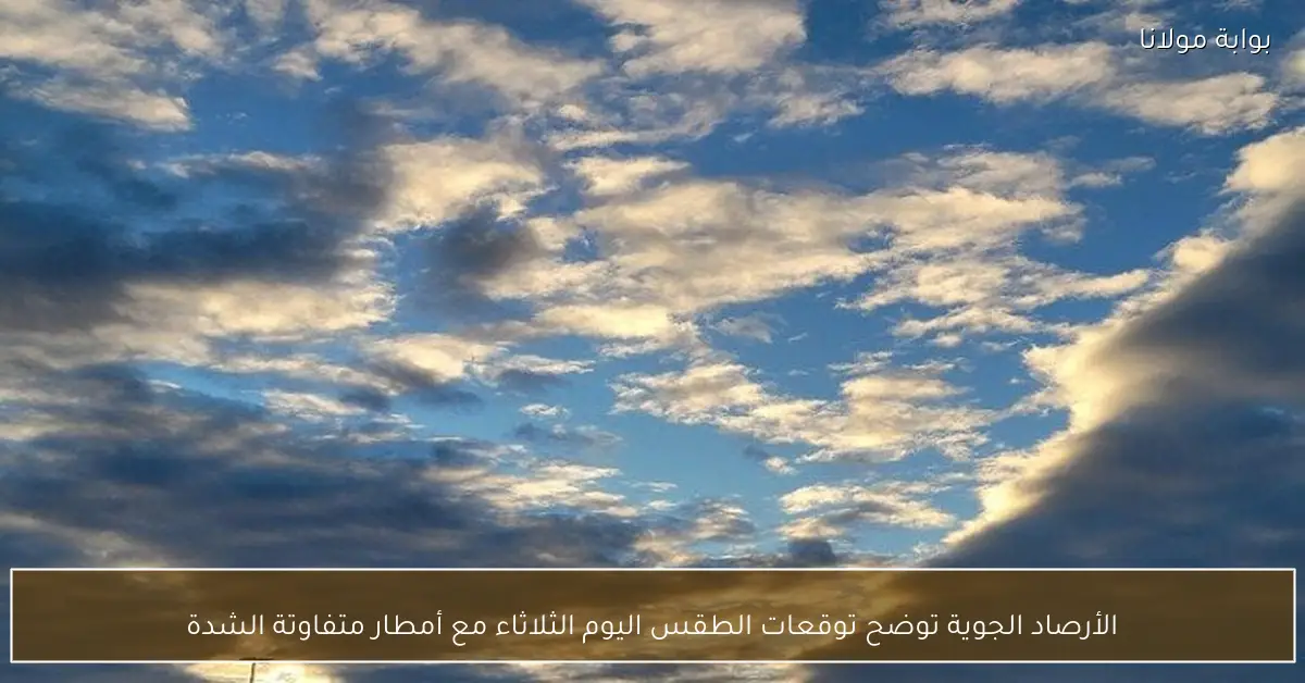 الأرصاد الجوية توضح توقعات الطقس اليوم الثلاثاء مع أمطار متفاوتة الشدة