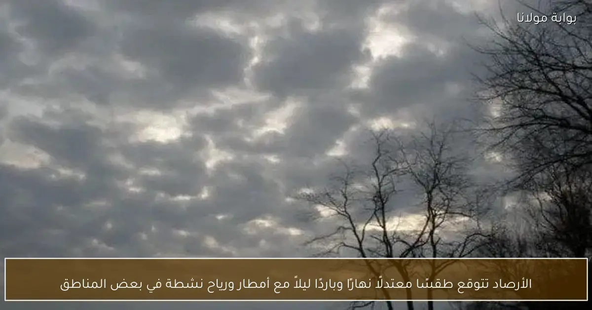 الأرصاد تتوقع طقسًا معتدلًا نهارًا وباردًا ليلاً مع أمطار ورياح نشطة في بعض المناطق