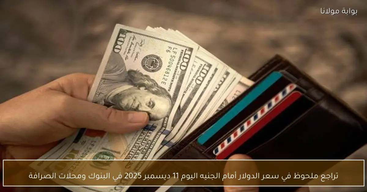 تراجع ملحوظ في سعر الدولار أمام الجنيه اليوم 11 ديسمبر 2025 في البنوك ومحلات الصرافة