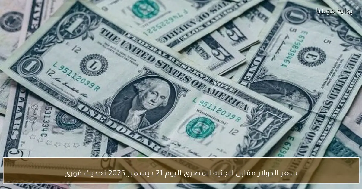 سعر الدولار مقابل الجنيه المصري اليوم 21 ديسمبر 2025 تحديث فوري