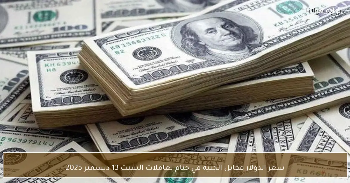 سعر الدولار مقابل الجنيه في ختام تعاملات السبت 13 ديسمبر 2025