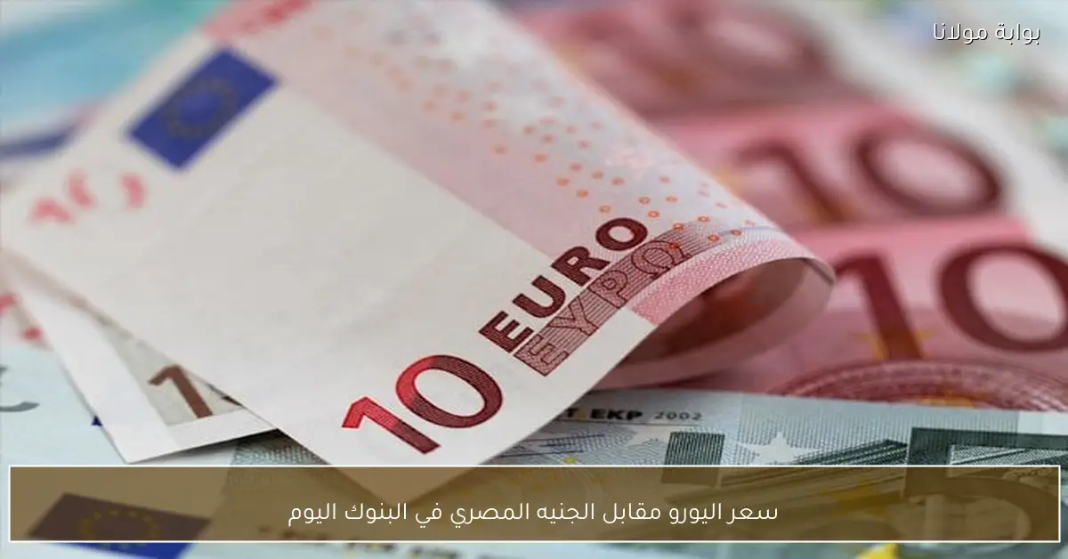 سعر اليورو مقابل الجنيه المصري في البنوك اليوم