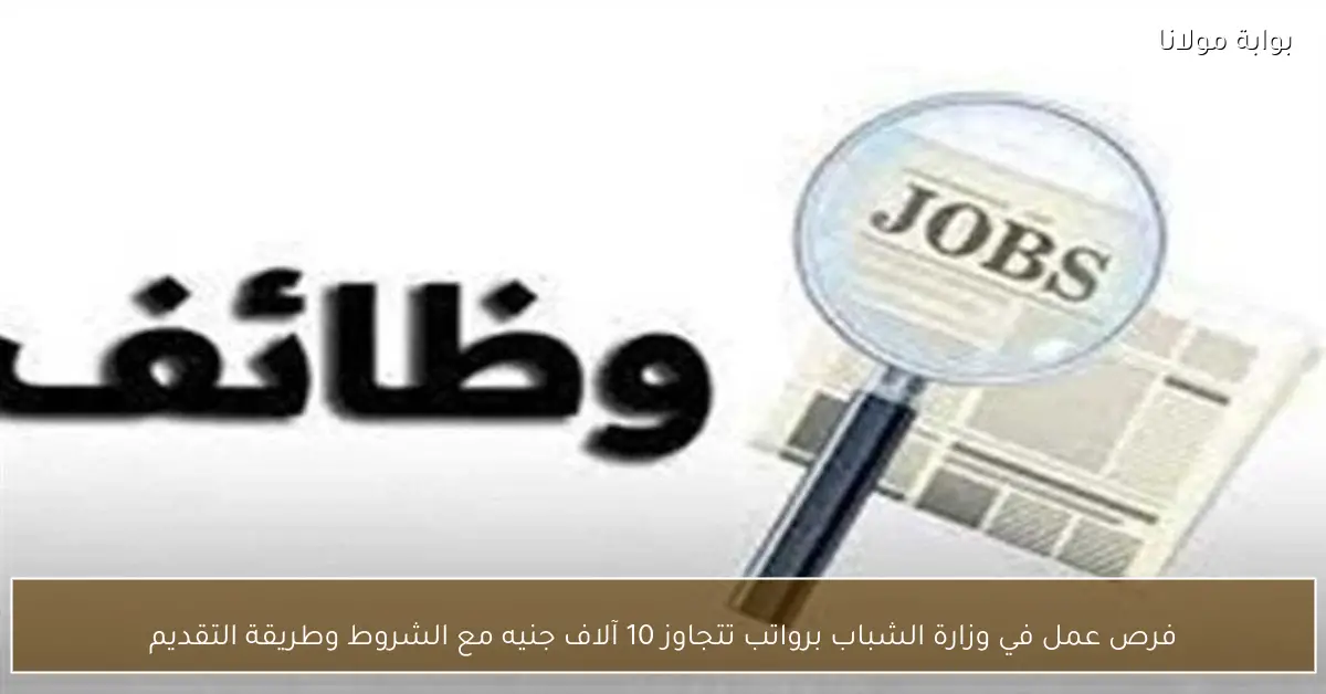 فرص عمل في وزارة الشباب برواتب تتجاوز 10 آلاف جنيه مع الشروط وطريقة التقديم