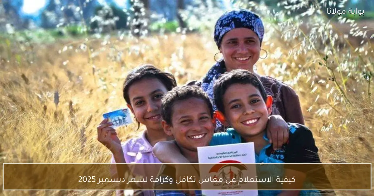 كيفية الاستعلام عن معاش تكافل وكرامة لشهر ديسمبر 2025