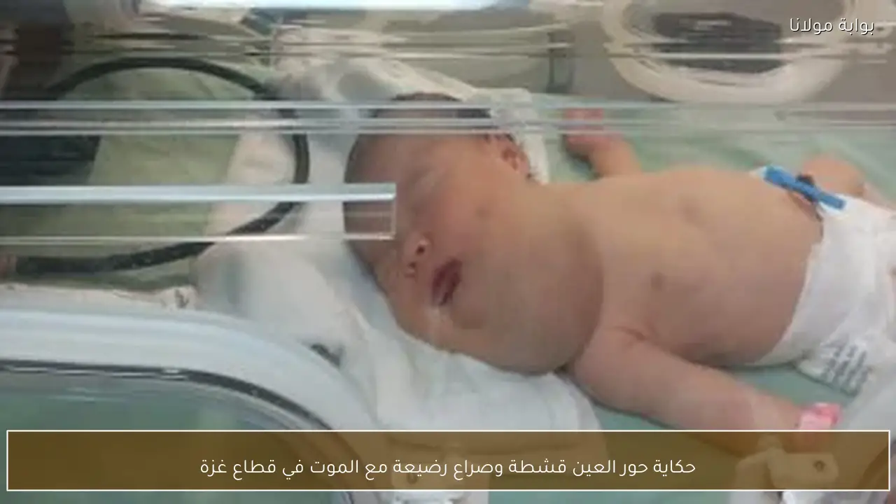 حكاية حور العين قشطة وصراع رضيعة مع الموت في قطاع غزة