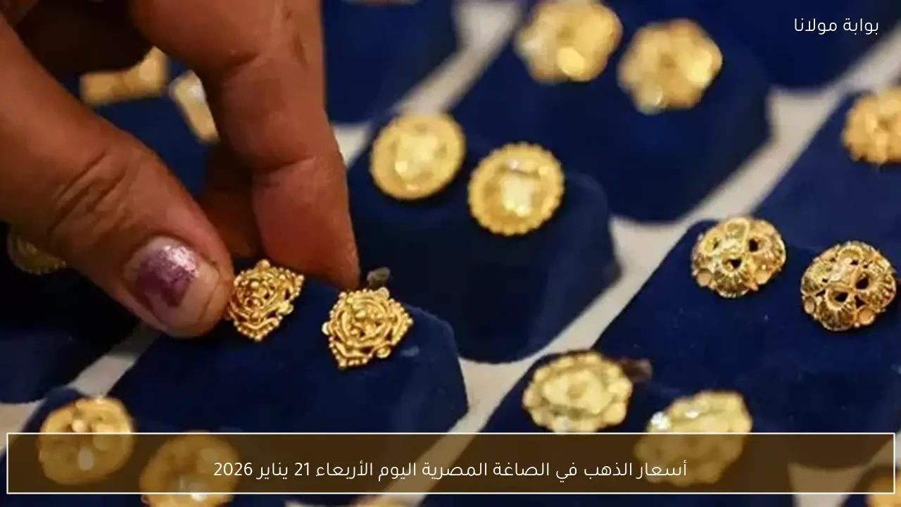 أسعار الذهب في الصاغة المصرية اليوم الأربعاء 21 يناير 2026