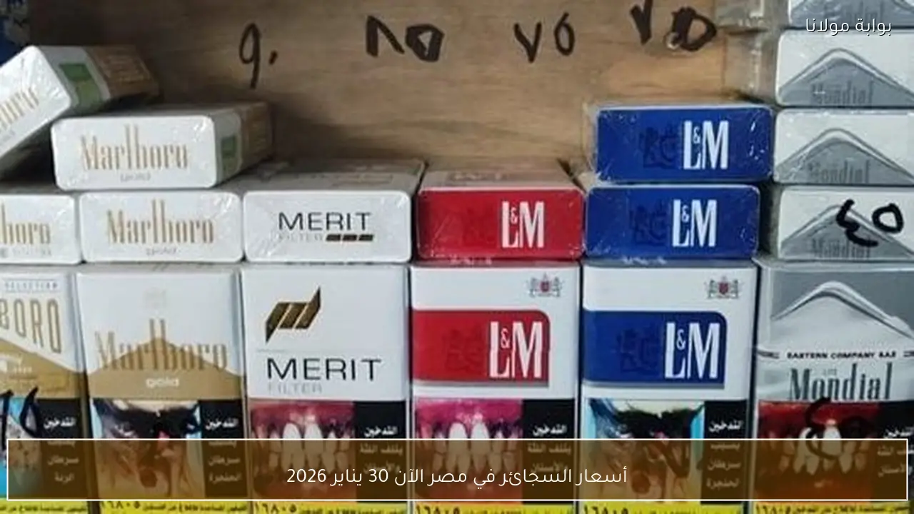 أسعار السجائر في مصر الآن 30 يناير 2026