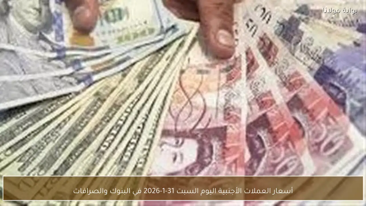 أسعار العملات الأجنبية اليوم السبت 31-1-2026 في البنوك والصرافات