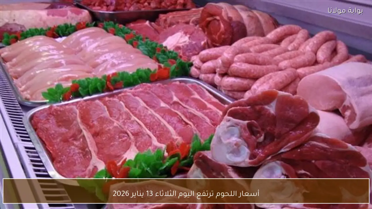 أسعار اللحوم ترتفع اليوم الثلاثاء 13 يناير 2026