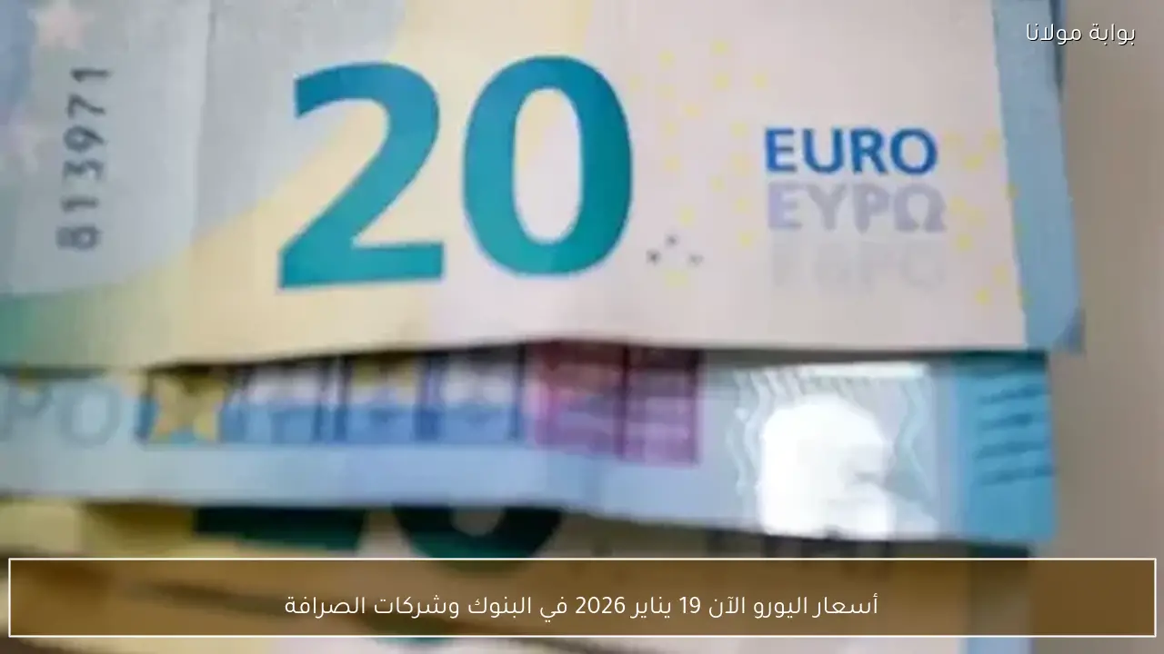 أسعار اليورو الآن 19 يناير 2026 في البنوك وشركات الصرافة