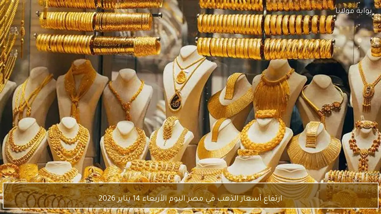 ارتفاع أسعار الذهب في مصر اليوم الأربعاء 14 يناير 2026