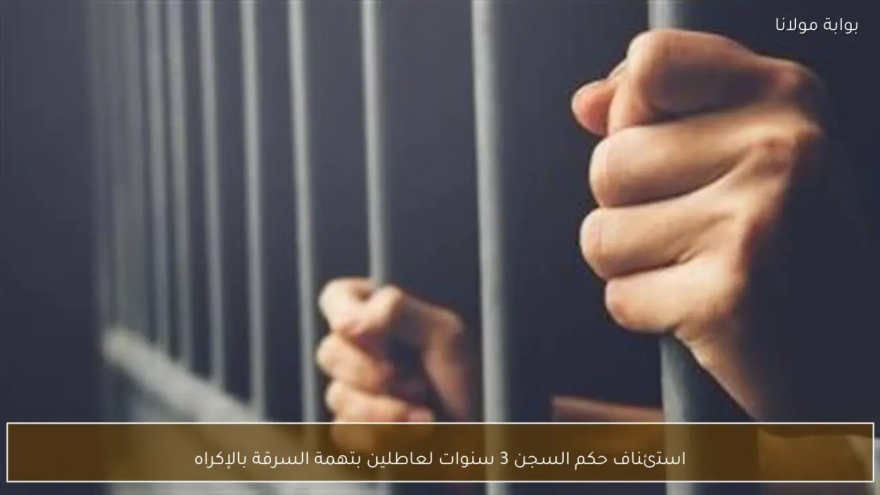 استئناف حكم السجن 3 سنوات لعاطلين بتهمة السرقة بالإكراه