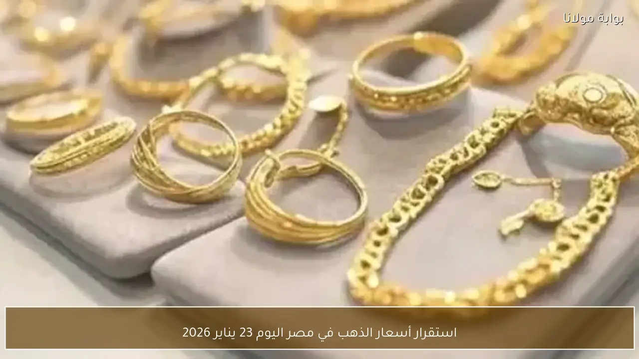 استقرار أسعار الذهب في مصر اليوم 23 يناير 2026