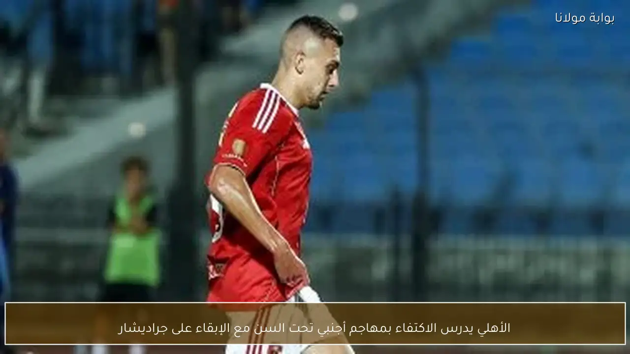 الأهلي يدرس الاكتفاء بمهاجم أجنبي تحت السن مع الإبقاء على جراديشار