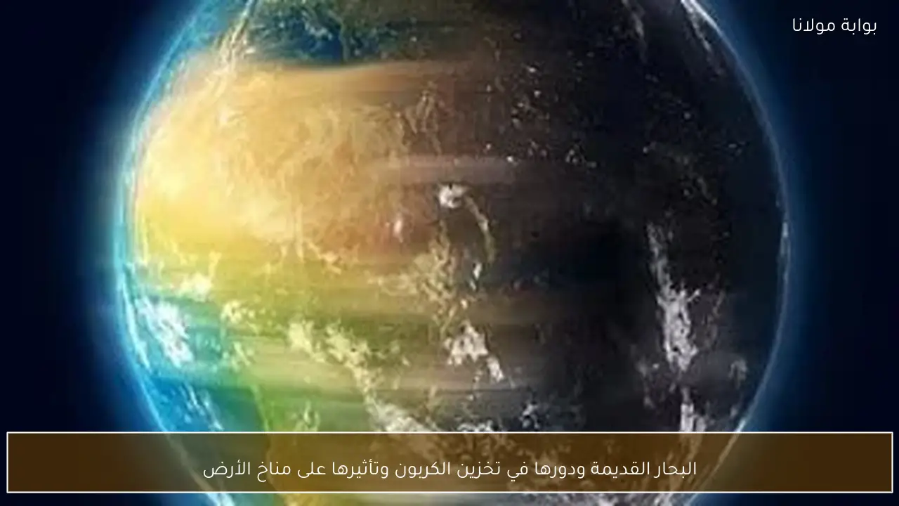 البحار القديمة ودورها في تخزين الكربون وتأثيرها على مناخ الأرض