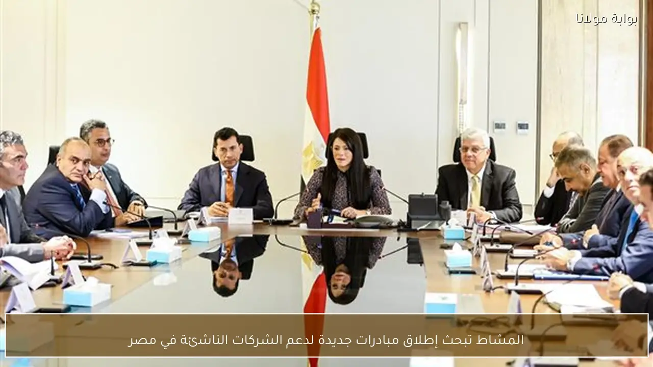 المشاط تبحث إطلاق مبادرات جديدة لدعم الشركات الناشئة في مصر