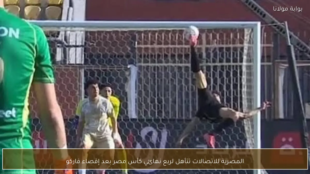 المصرية للاتصالات تتأهل لربع نهائي كأس مصر بعد إقصاء فاركو