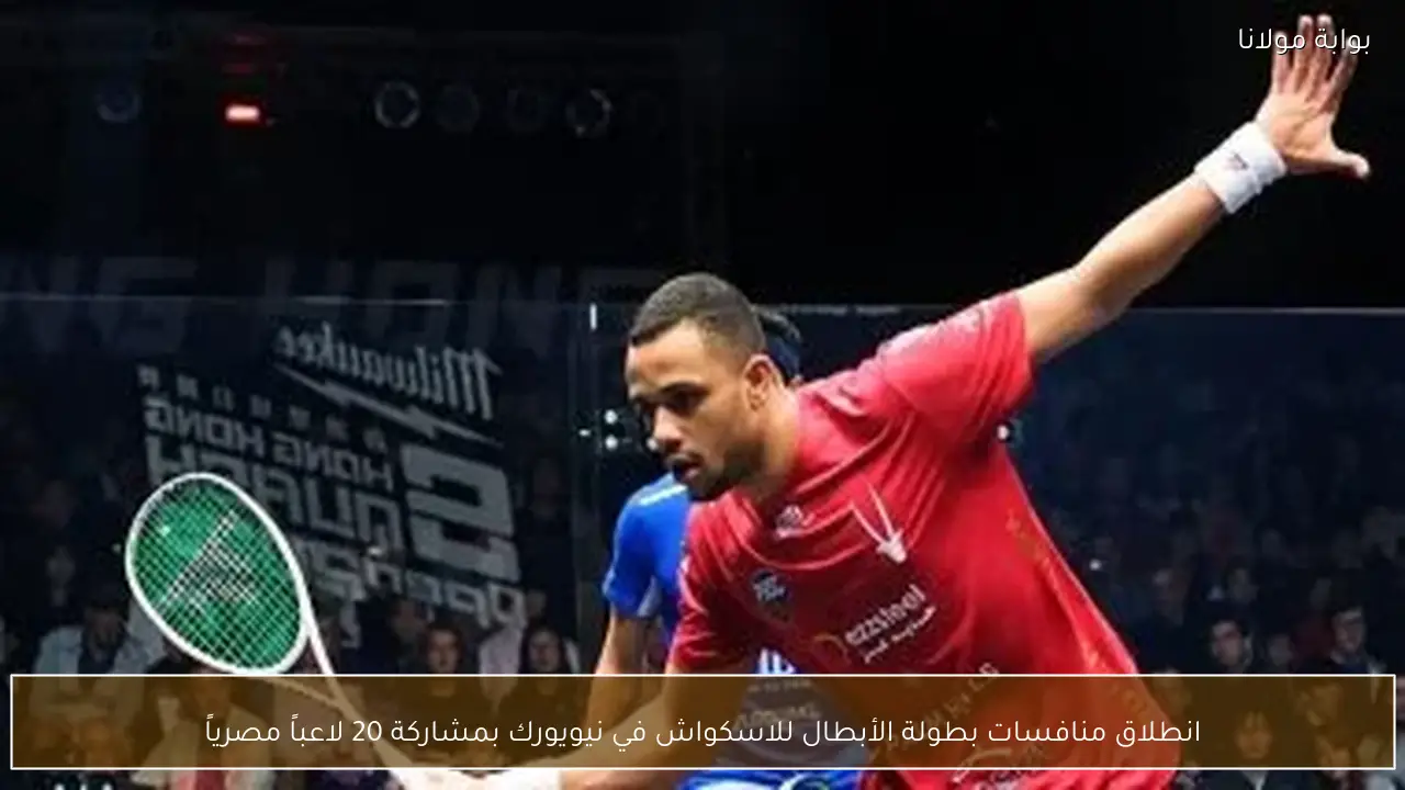 انطلاق منافسات بطولة الأبطال للاسكواش في نيويورك بمشاركة 20 لاعباً مصرياً