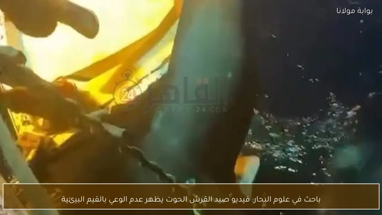 باحث في علوم البحار: فيديو صيد القرش الحوت يظهر عدم الوعي بالقيم البيئية