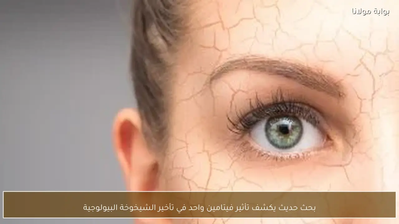 بحث حديث يكشف تأثير فيتامين واحد في تأخير الشيخوخة البيولوجية