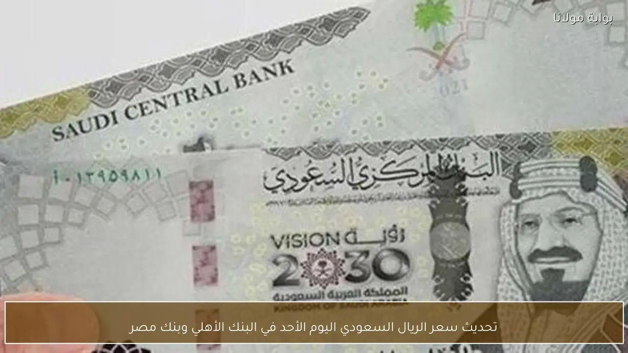 تحديث سعر الريال السعودي اليوم الأحد في البنك الأهلي وبنك مصر