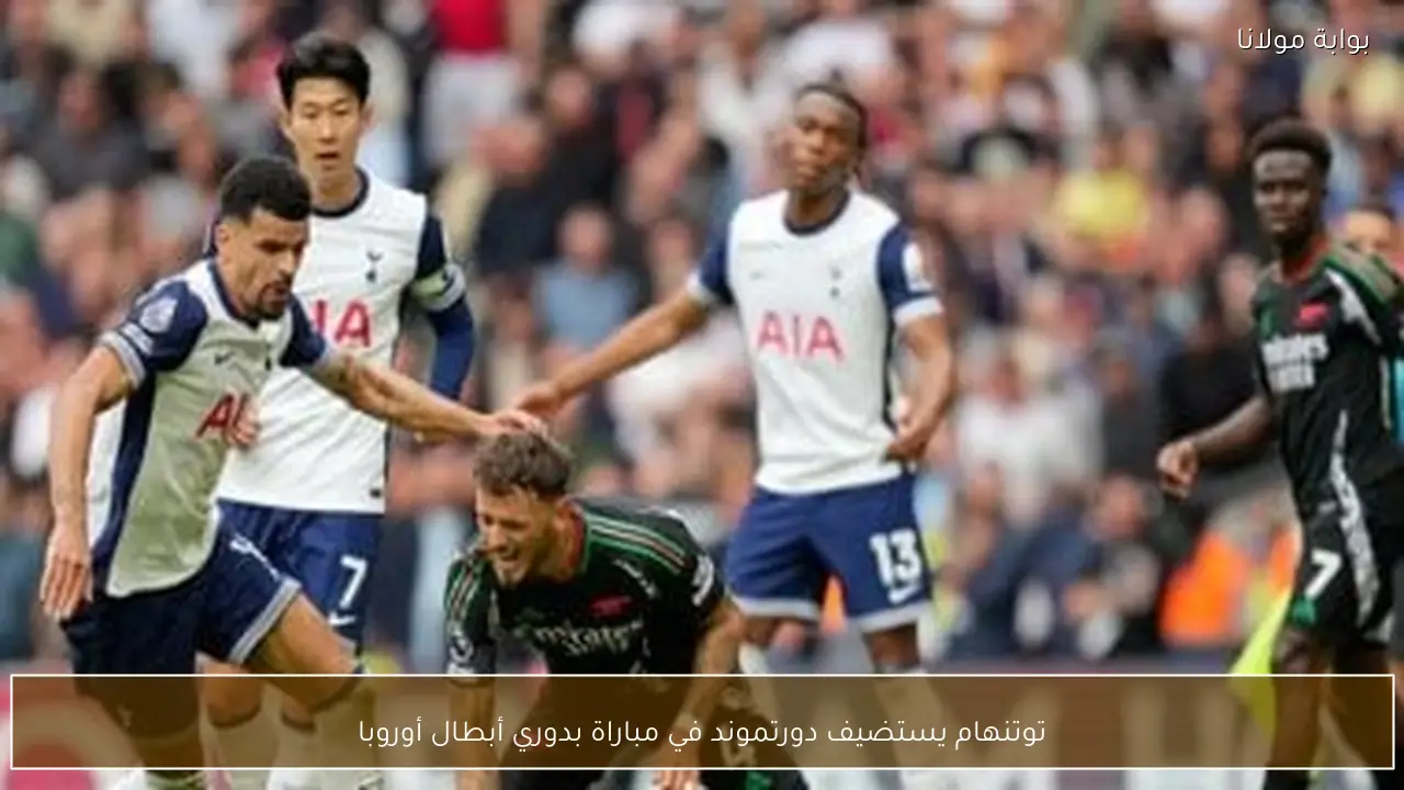توتنهام يستضيف دورتموند في مباراة بدوري أبطال أوروبا