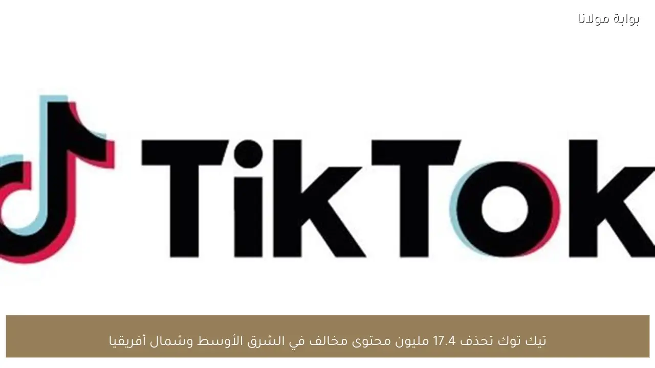 تيك توك تحذف 17.4 مليون محتوى مخالف في الشرق الأوسط وشمال أفريقيا