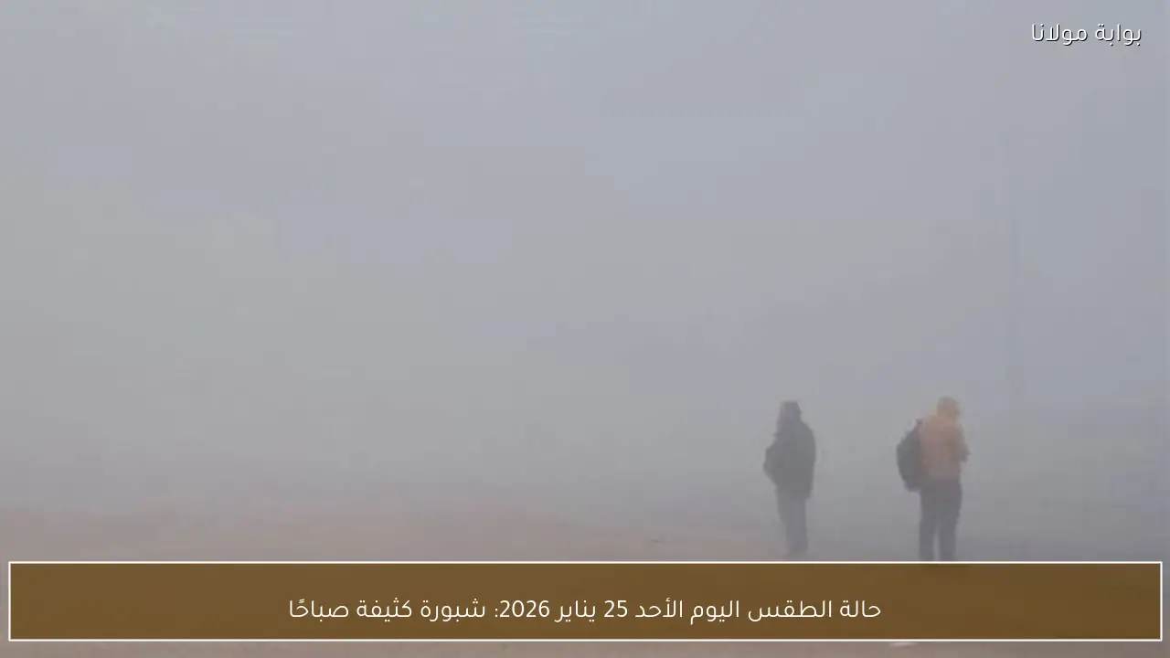 حالة الطقس اليوم الأحد 25 يناير 2026: شبورة كثيفة صباحًا
