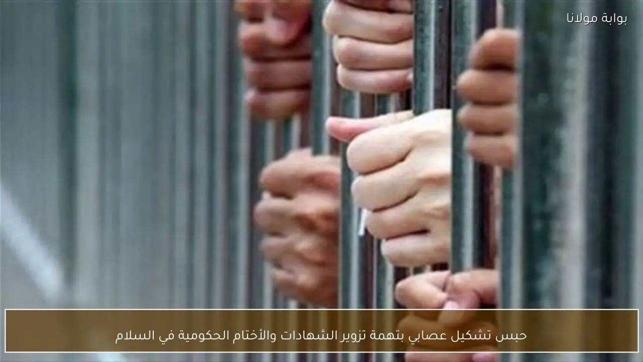 حبس تشكيل عصابي بتهمة تزوير الشهادات والأختام الحكومية في السلام