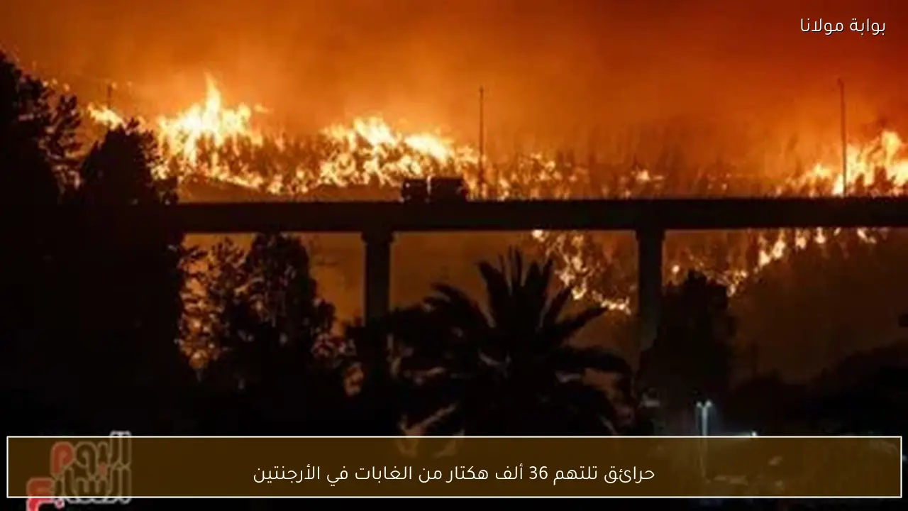 حرائق تلتهم 36 ألف هكتار من الغابات في الأرجنتين