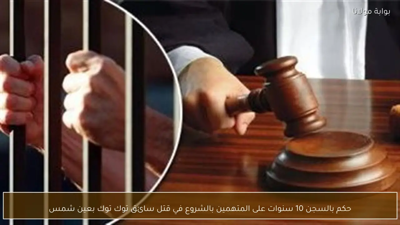 حكم بالسجن 10 سنوات على المتهمين بالشروع في قتل سائق توك توك بعين شمس