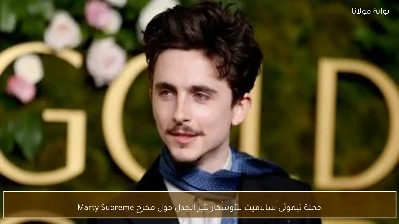 حملة تيموثى شالاميت للأوسكار تثير الجدل حول مخرج Marty Supreme