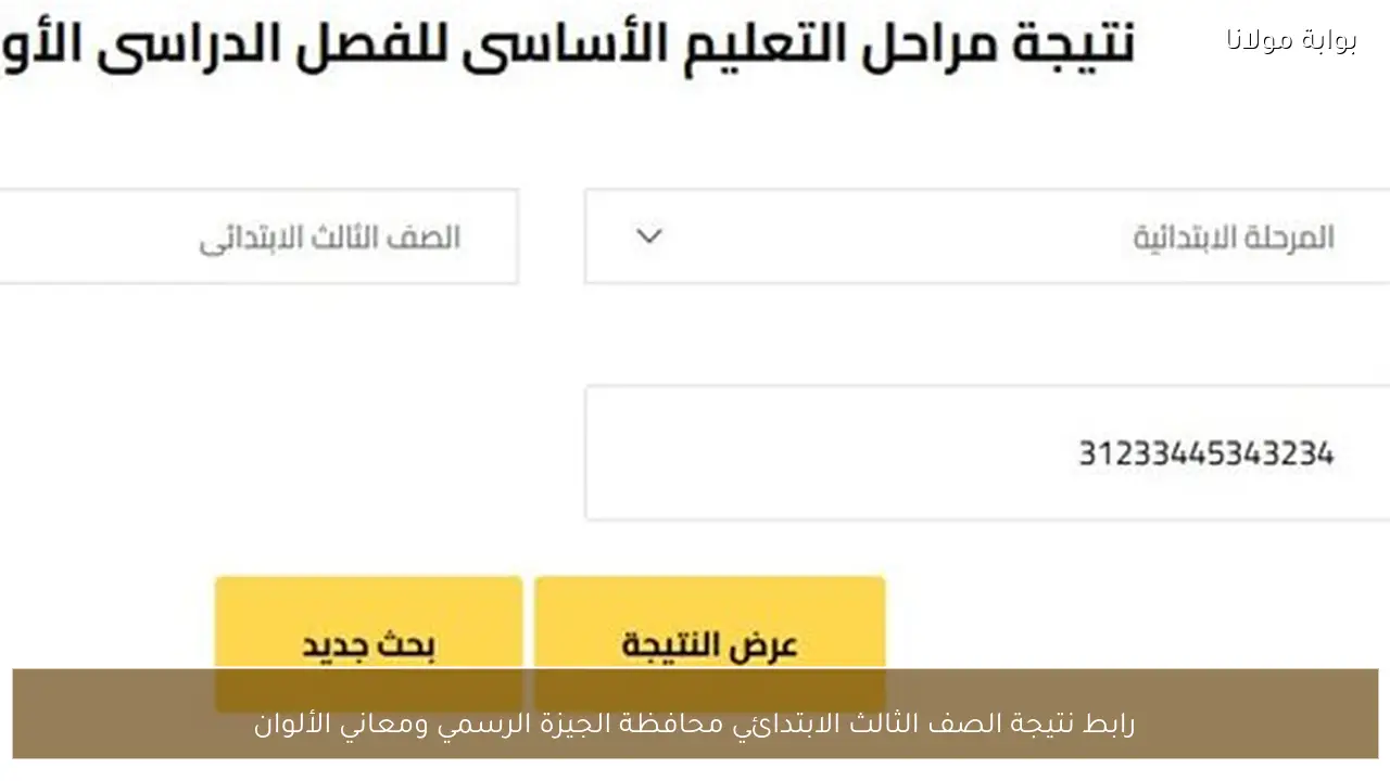 رابط نتيجة الصف الثالث الابتدائي محافظة الجيزة الرسمي ومعاني الألوان