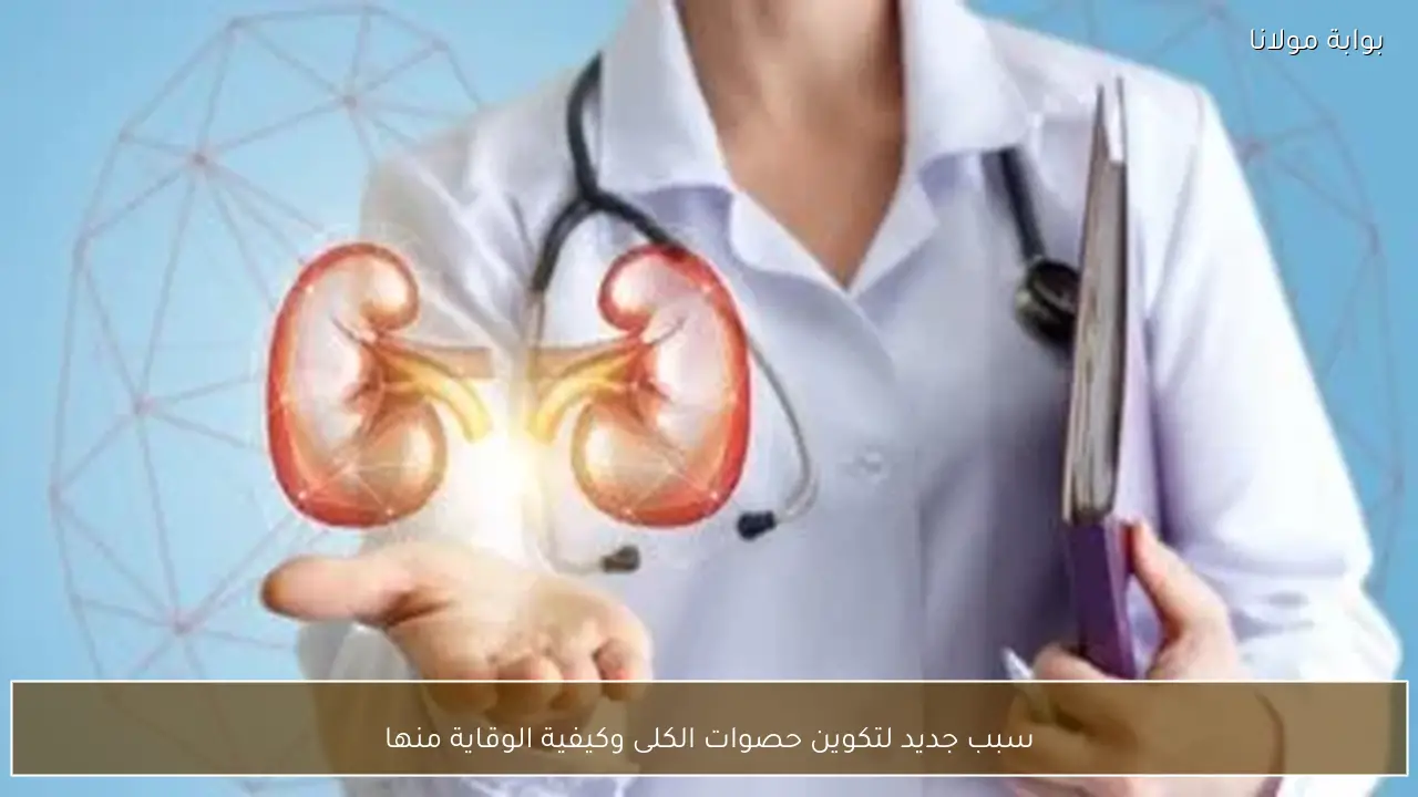 سبب جديد لتكوين حصوات الكلى وكيفية الوقاية منها