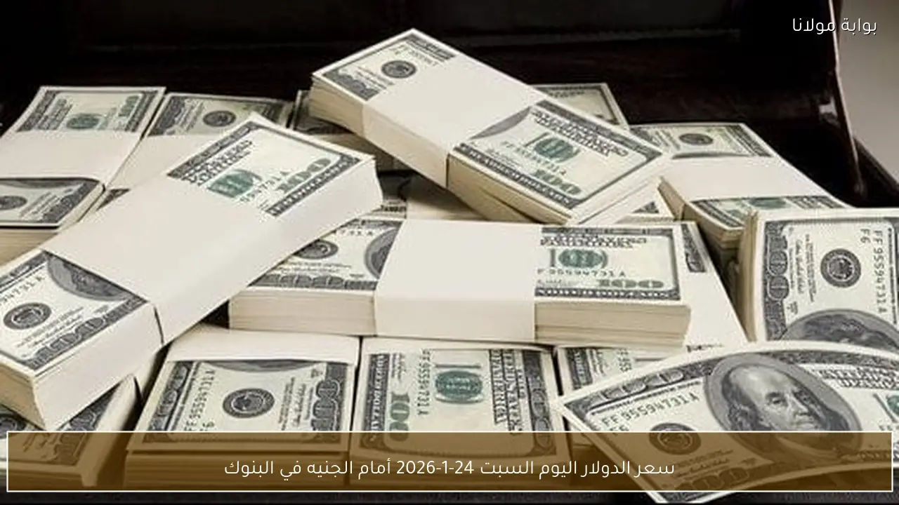 سعر الدولار اليوم السبت 24-1-2026 أمام الجنيه في البنوك