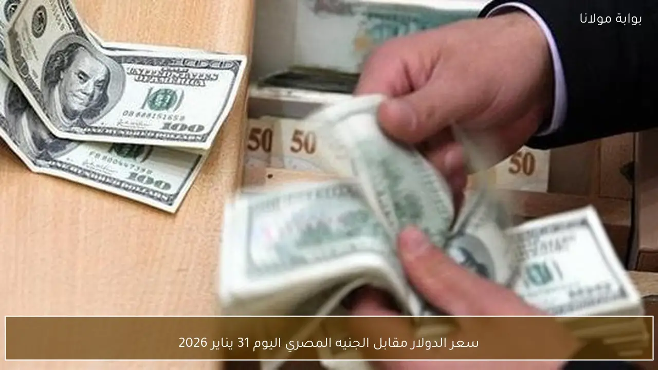 سعر الدولار مقابل الجنيه المصري اليوم 31 يناير 2026
