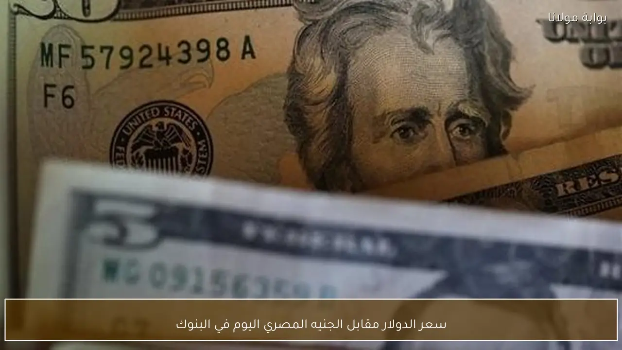 سعر الدولار مقابل الجنيه المصري اليوم في البنوك