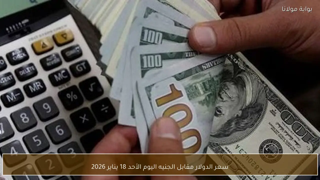 سعر الدولار مقابل الجنيه اليوم الأحد 18 يناير 2026